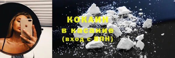 стаф Аркадак
