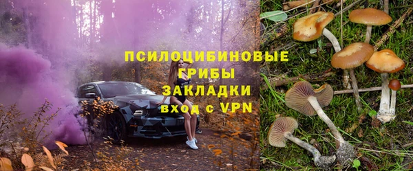 стаф Аркадак
