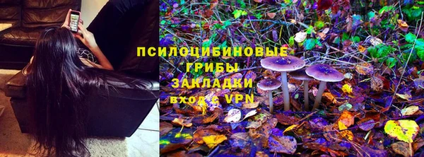 сатива Армянск