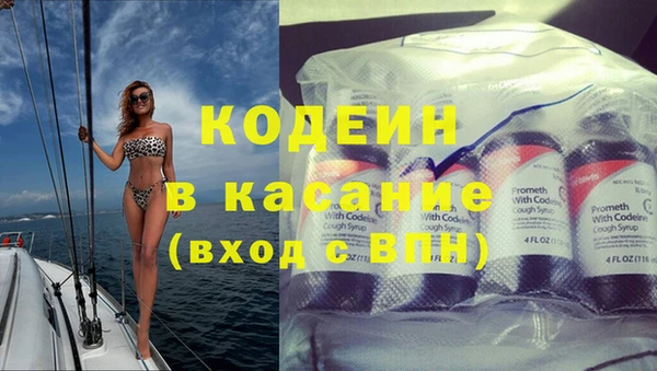 прущие грибы Арсеньев