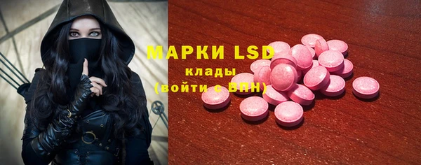 прущие грибы Арсеньев