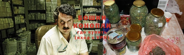 прущие грибы Арсеньев